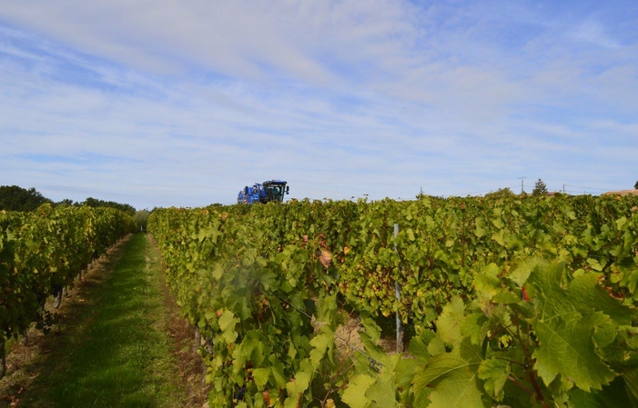 Visit and Tasting at the Château de Viens €1.00