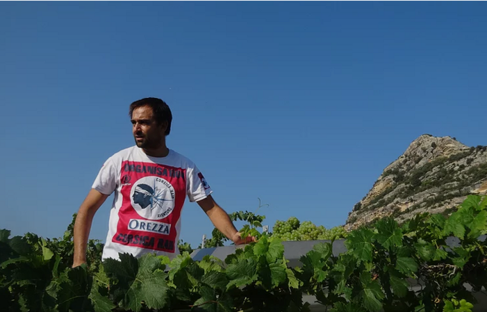 Visit and tastings at Domaine Jean-Baptiste Arena €1.00