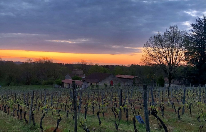 Visit to the tasting of the Domaine de Bonaguil €1.00