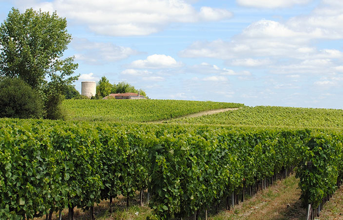 Visit and Tasting at château Relais de la Poste €1.00