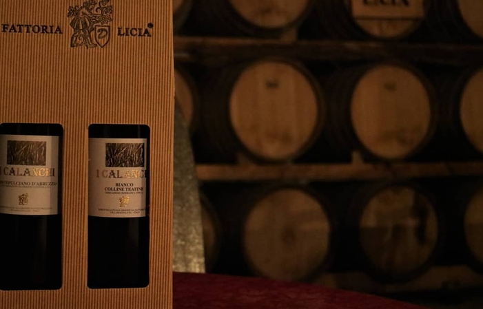 Visit and tastings at FATTORIA LICIA €1.00
