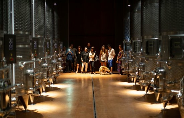 Evening visit and tasting experience at Filodivino €60.00
