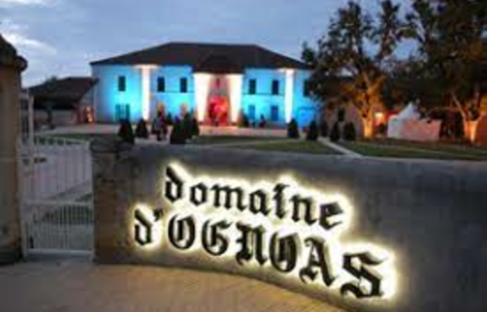 Visit and Tasting at the Domaine d'Ognoas €2.00