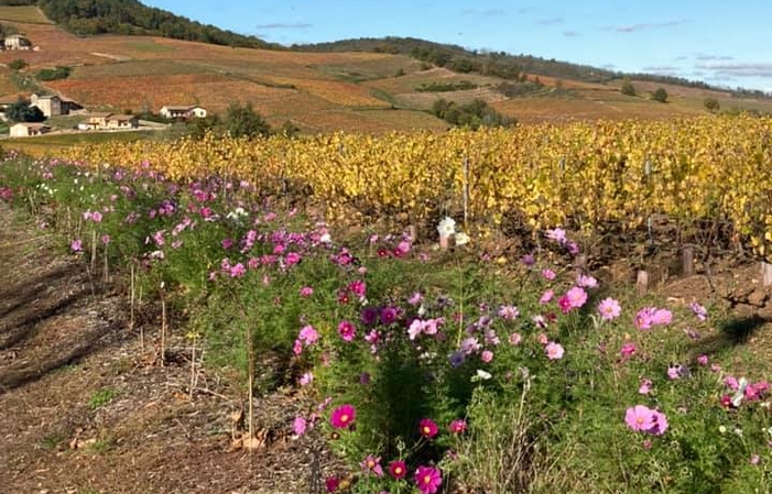 Visit and tastings at the Château de Poncié €49.00