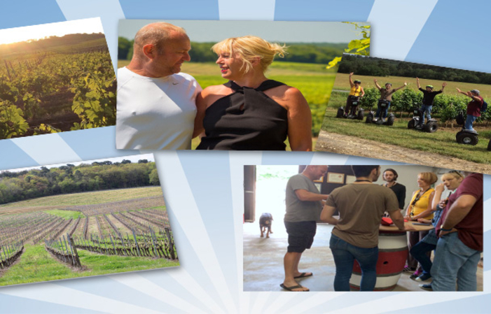 Wine and wine walk in gyropode at Chateau Marchand Bellevue €90.00