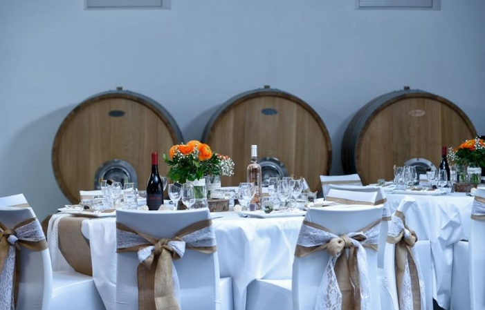 Winemaker for a day, visit and tasting €11.00