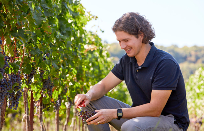 Visit and Tasting - Cave Spring Vineyard €10.00