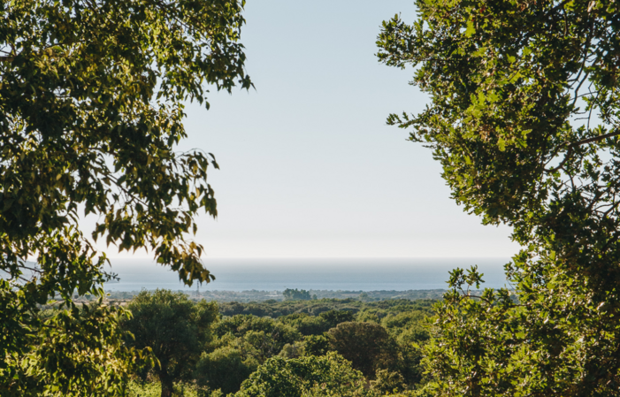 Sensory journey at the Domaine 'Alzipratu €53.00