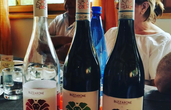 Visit and tastings at Azienda Vitivinicola Buzzarone €1.00