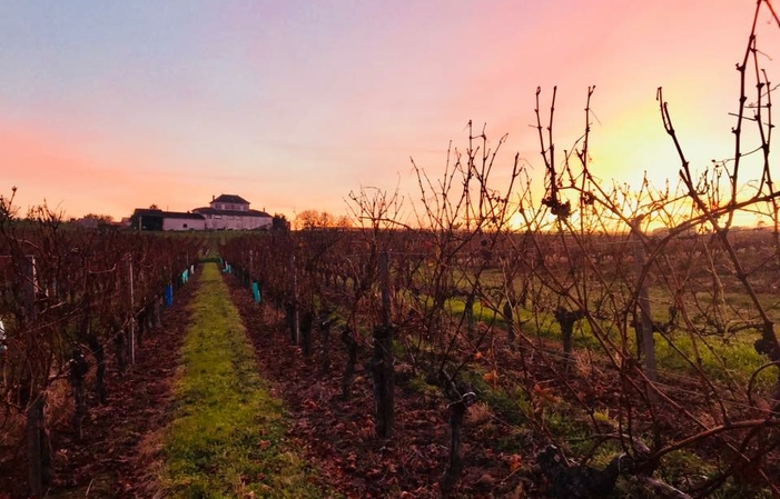 Visit and Tasting at the Château de Viens €1.00