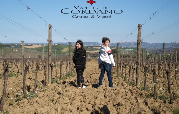 Visit and tastings at Marchesi De' Cordano €1.00