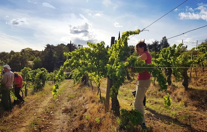 Apéro' vine at Château Mourgues du Grès €17.00