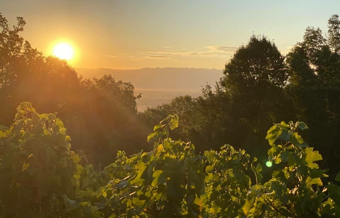 Visit and Degustation Du Domaine Du Tunnel €1.00