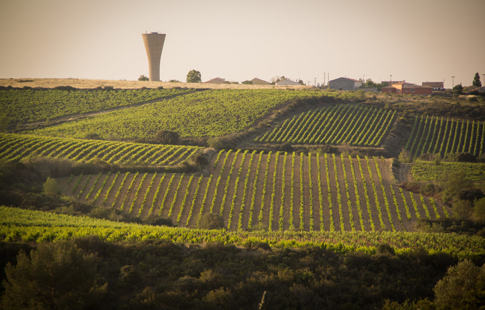 Visit and Tasting at the Domaine des Prés Lasses €1.00