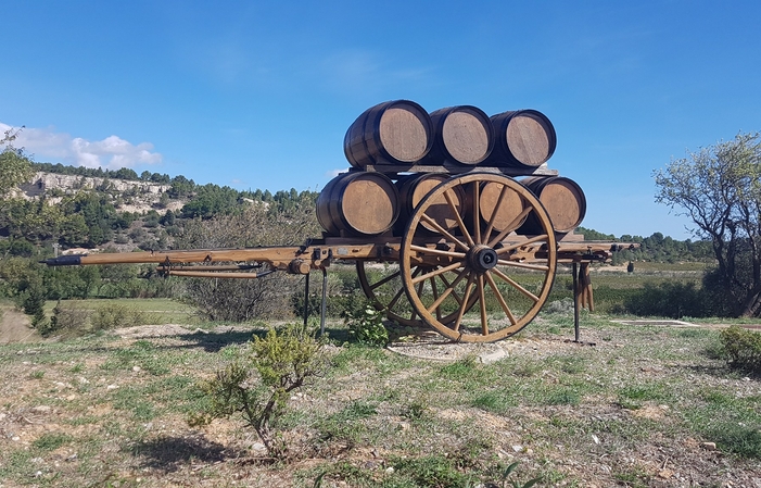 GASTRONOMIC DISCOVERY OF THE LANGUEDOC CRUS €490.00