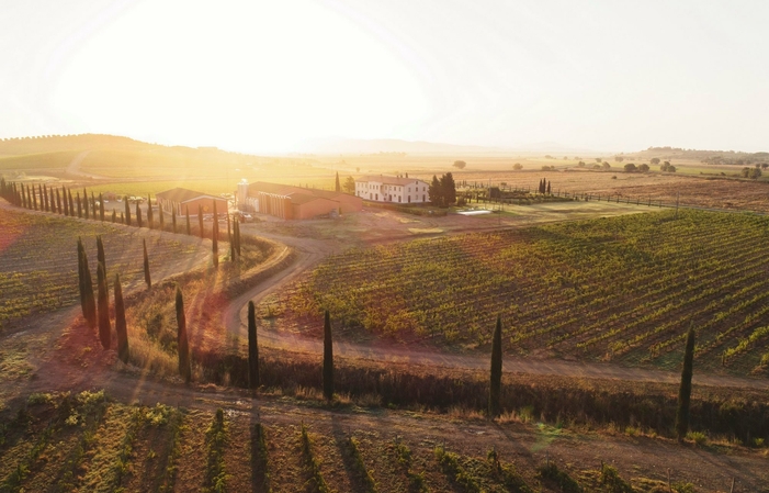 Tenuta Fertuna: Tasting of 3 wines accompanied by taralli of our production €20.00