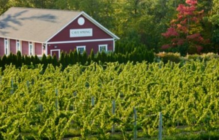 Visit and Tasting - Cave Spring Vineyard €10.00