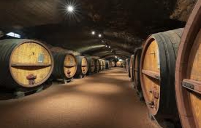 Visit to the cellars and tasting €18.00