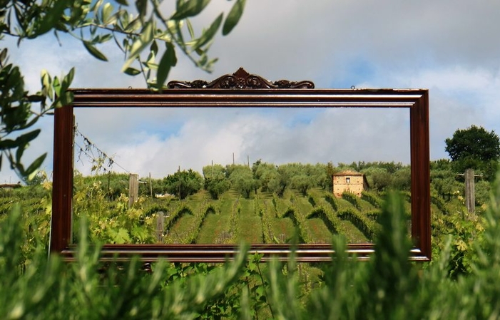 Visit and tastings at FATTORIA LICIA €1.00