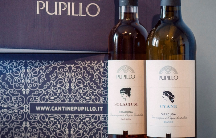 Visit to the Azienda Agricola Pupillo Estate €1.00