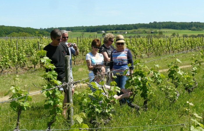 Loire Wine Discovery Day Trip from Paris €195.00