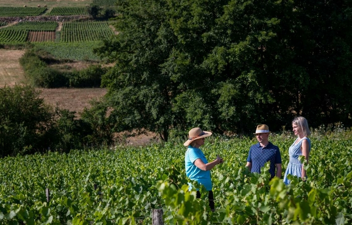 Visit and Tasting at Domaine de la Luolle €5.00