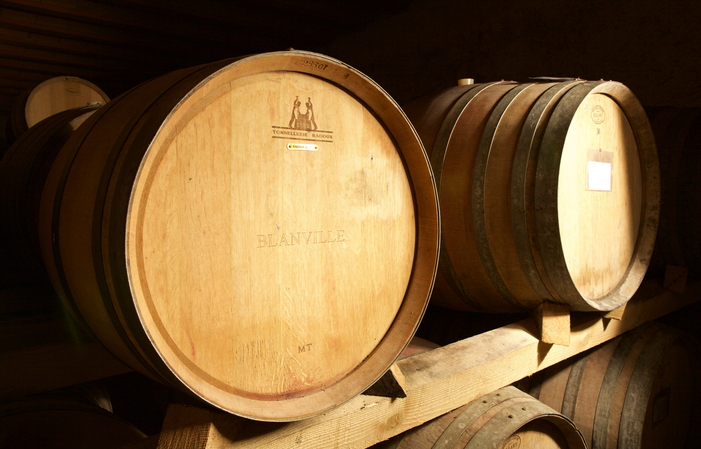 Visit to the Mirailvisite estate in the cellar, wine tasting - shop €15.00