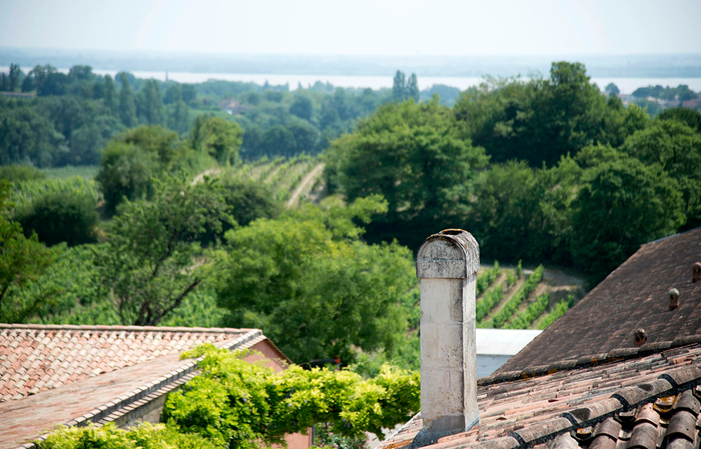 Visit and Tasting at Château Pleybonhomme-Les-Tours €1.00