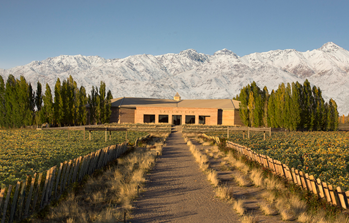 Visit Mendoza Vineyards €5.00