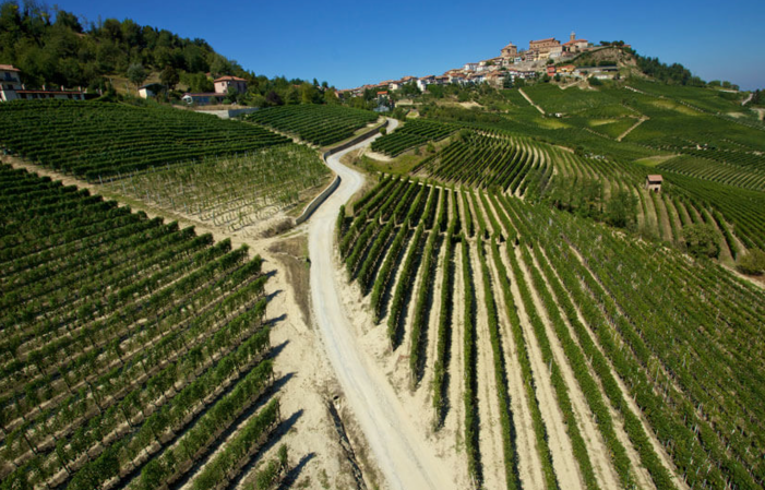 Visit and Tasting at Domaine Roberto Voerzio €1.00