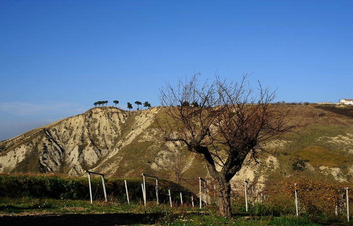 Visit and tastings at Marchesi De' Cordano €1.00