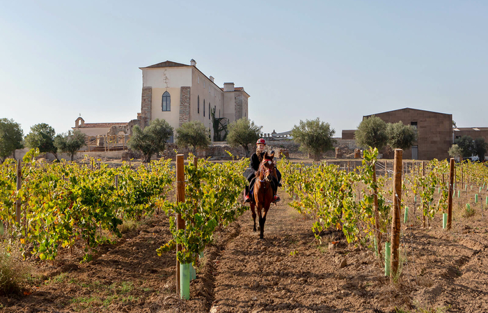 Fita Preta, wine-gastronomy experiments: the Alentejo at Table! €55.00