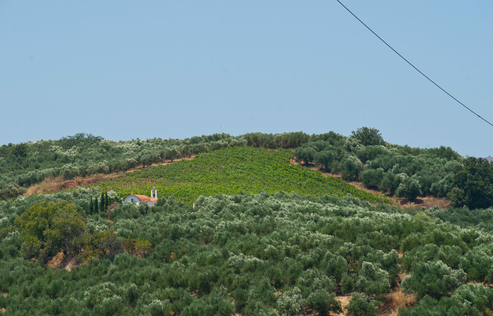 Visit Anoskeli €12.00