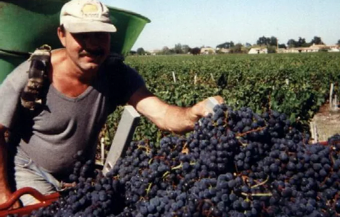 Visit and Tasting at Château Lacour Jacquet €1.00