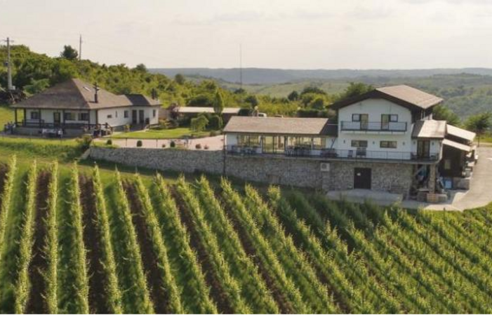 Visit Of DOMENIUL DRAGASI €14.05