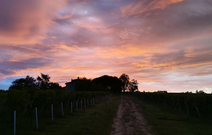 Visit and Tasting at Château Gros Moulin €1.00