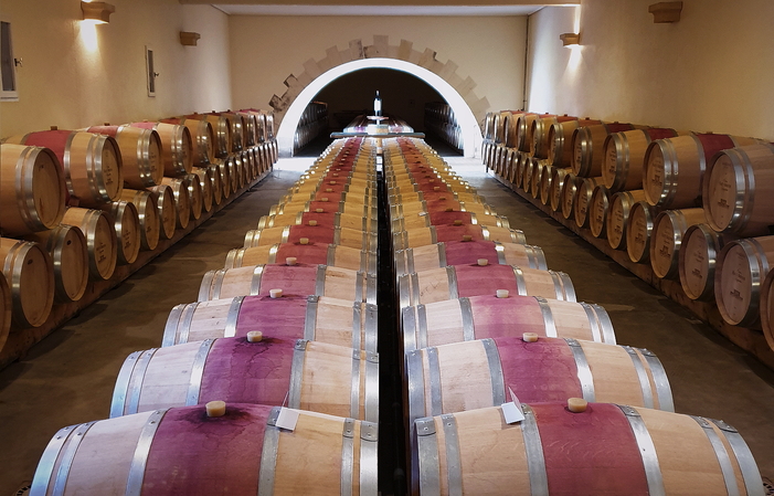 Visiting the castle and wine tasting €8.00