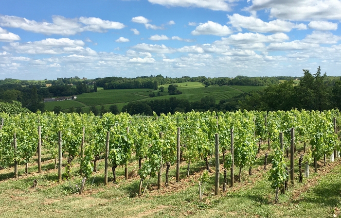 Privilege tour of Château Haut-Piquat - Gourmet Ta €15.00