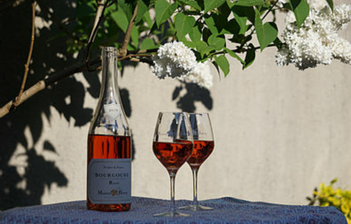 Visit and Tasting at Domaine Pascal Henry €1.00