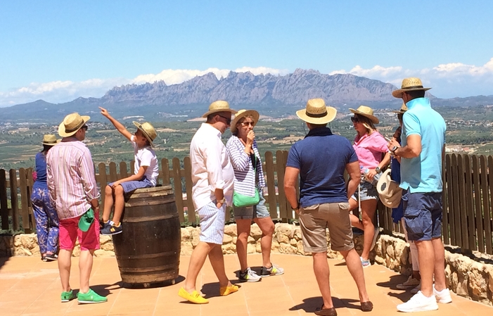 Visit and tasting with local picnic at Llopart winery (Barcelona Wine Area) : Leopardi Tour €39.00