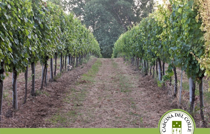 Visit and tastings at the Cascina del Colle €1.00