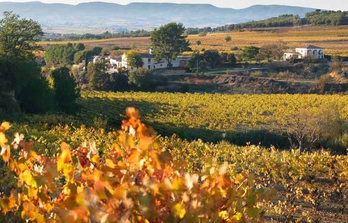Eudald Massana Noya: the colours of the vineyard €20.00