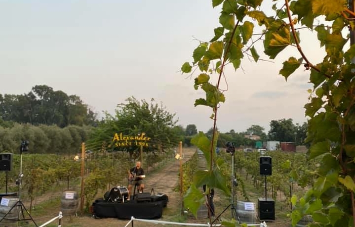 Visit Of Alexander Winery €1.00