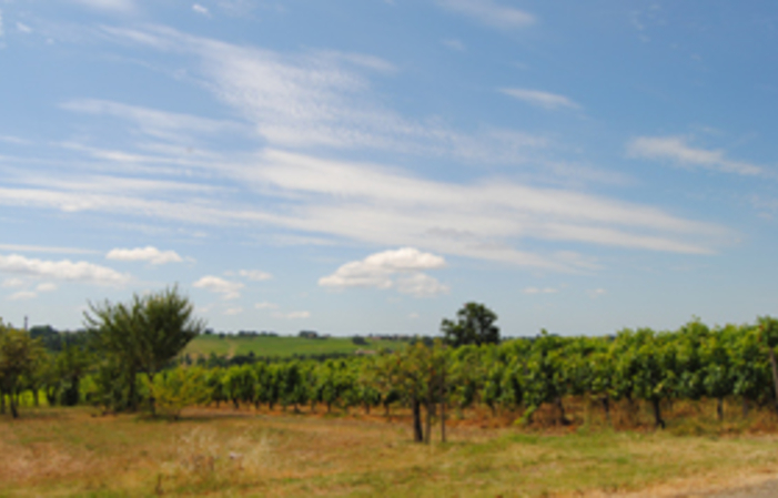 Visit and Tasting at Château Haut Mortefont €1.00