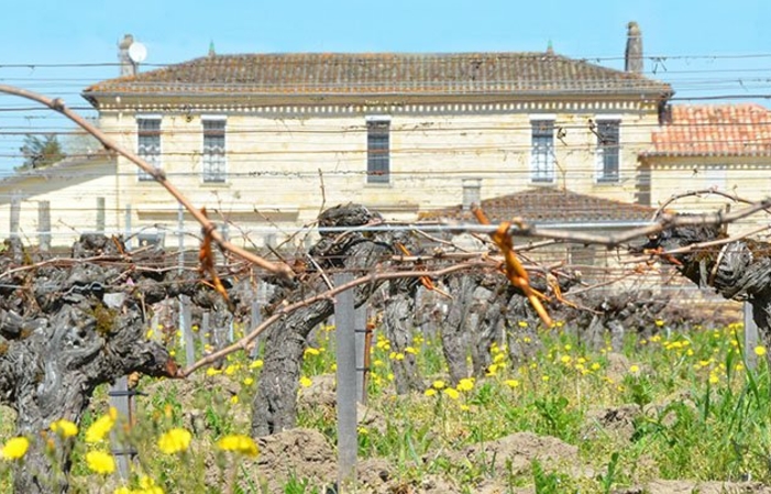 Treasure hunt at Château la Renommée €1.00