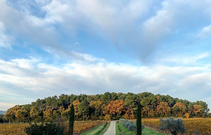 Visit and Tasting at the Château Mont-Redon Cellar €1.00