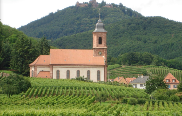 Visit and Tasting at Domaine Bléger €1.00
