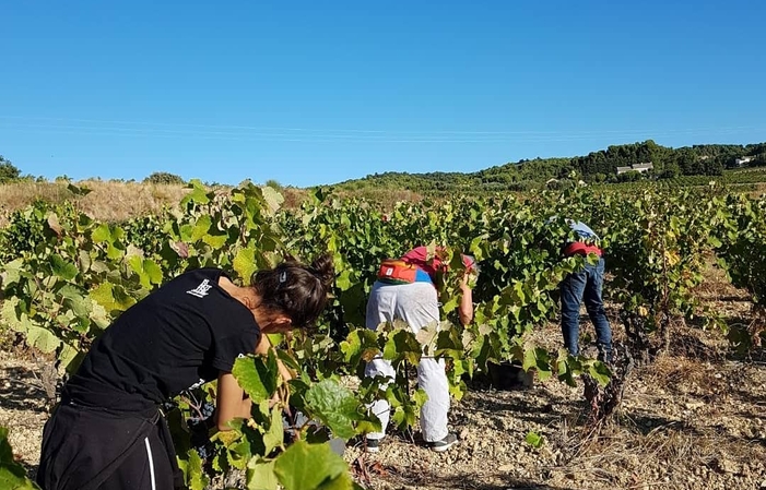 VISIT of DOMAINE RABASSE CHARAVIN €1.00