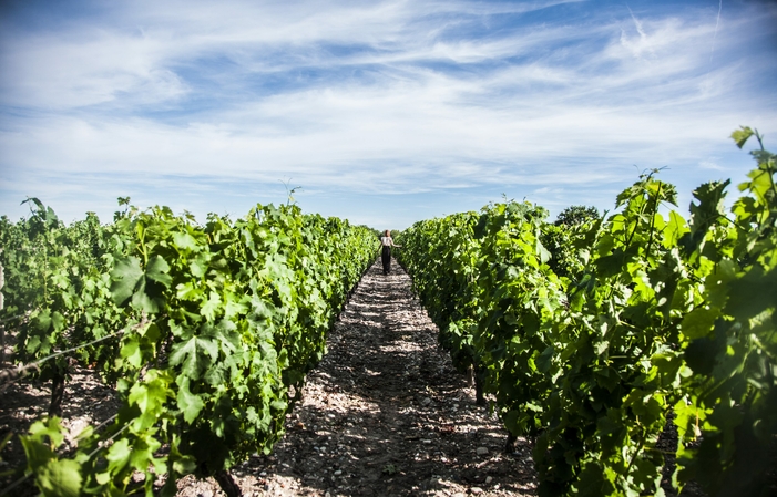 Visit and Tasting at Château Lamothe-Bergeron €6.00