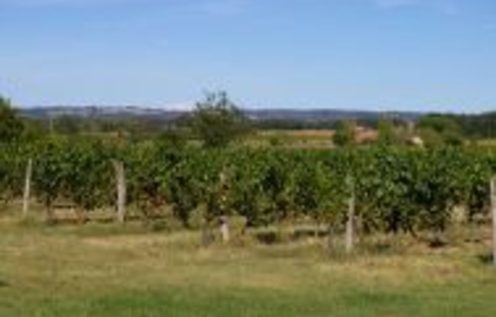 Visit to Château Boujac €10.00